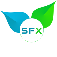 Integrate Salesforce with Xero – SFX